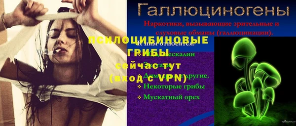 a pvp Лиски