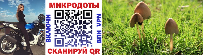 Галлюциногенные грибы мухоморы  Жигулёвск 